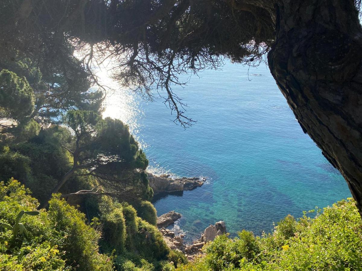 Casa Brisa Βίλα Blanes Εξωτερικό φωτογραφία