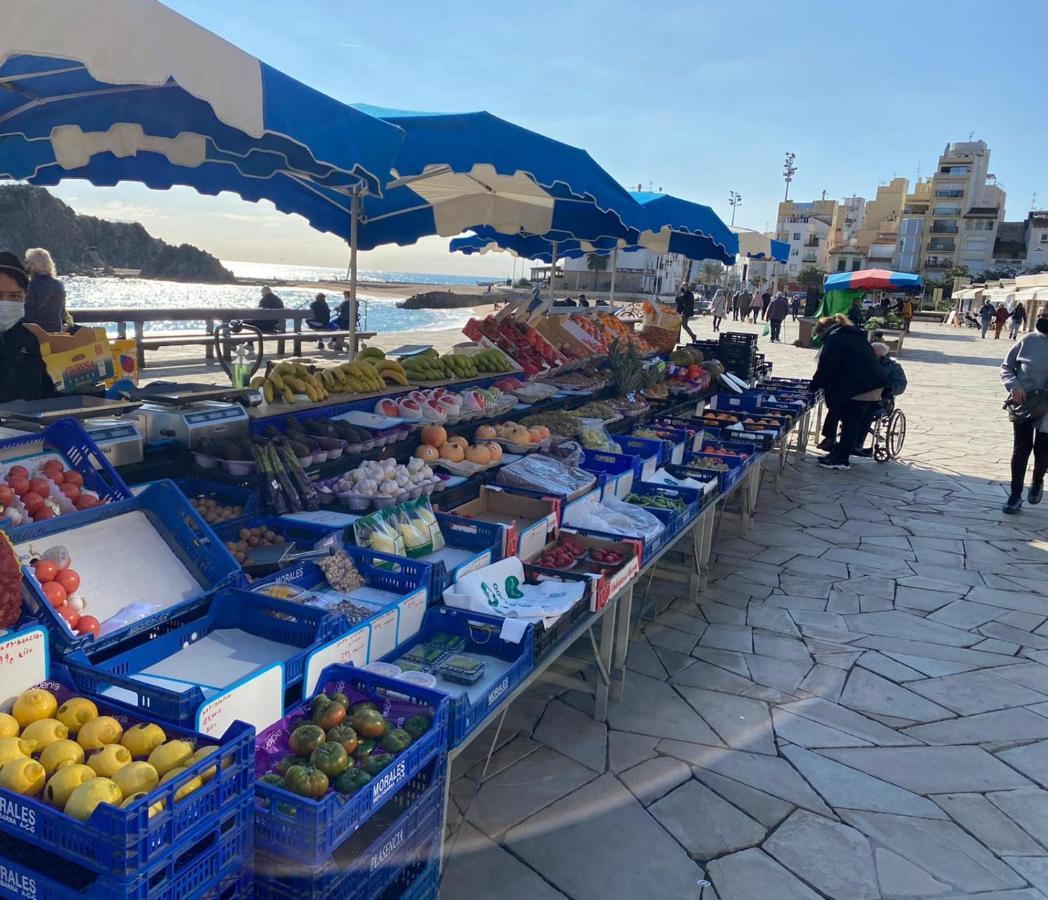 Casa Brisa Βίλα Blanes Εξωτερικό φωτογραφία